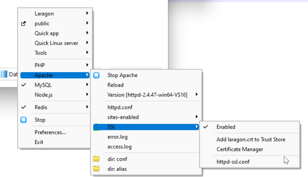 Enable SSL